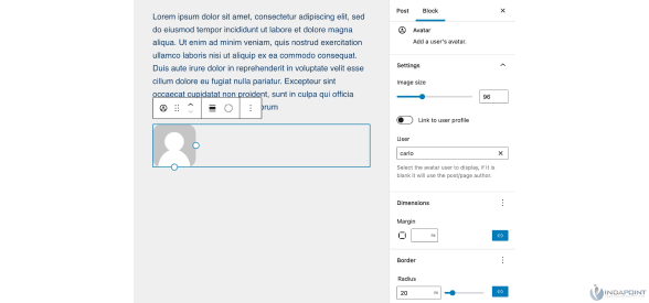 Avatar--WordPress-6.0