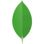 MongoDB